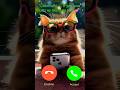 “You’ve never seen a call this adorable before… 💕 #cat #funny #shorts