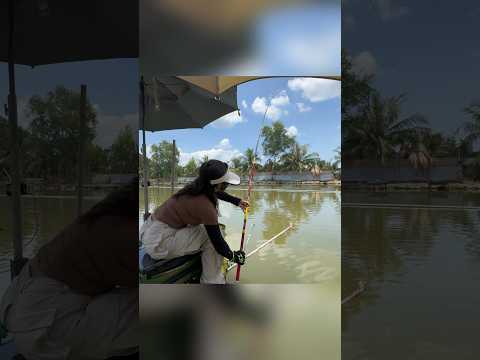 Câu cá chép sấp đôi #cauca #câucá #fishing #caucagiaitri