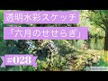 Sub JPN】WATERCOLOR 028透明水彩スケッチ「六月のせせらぎ」（鶴見