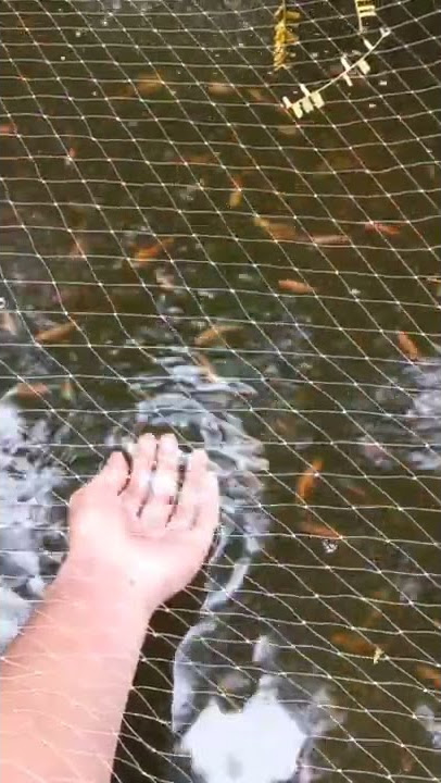 Gara gara Nila setitik rusak susu sebelanga