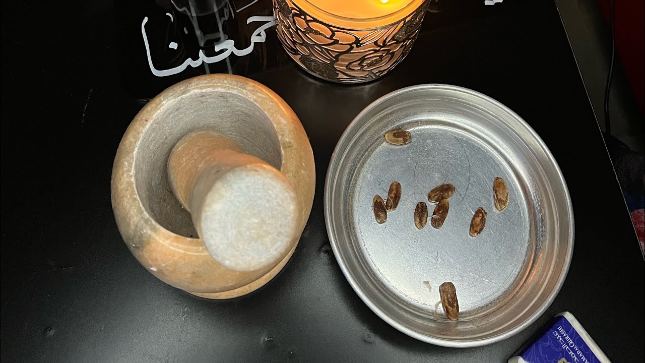 الربح من اليوتيوب _ بديل الضفور _ مخمريه زيتيه