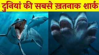 समुद्र में छुपी 5 सबसे खतरनाक शार्क | Most Rare Sharks Hidden in The Ocean. #World_Of_Goodness