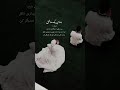 خدایا شکرت که هستی خدایا کمکم کن لطفا خدا جونم شیرین بندی دل مه بخیر بیاد