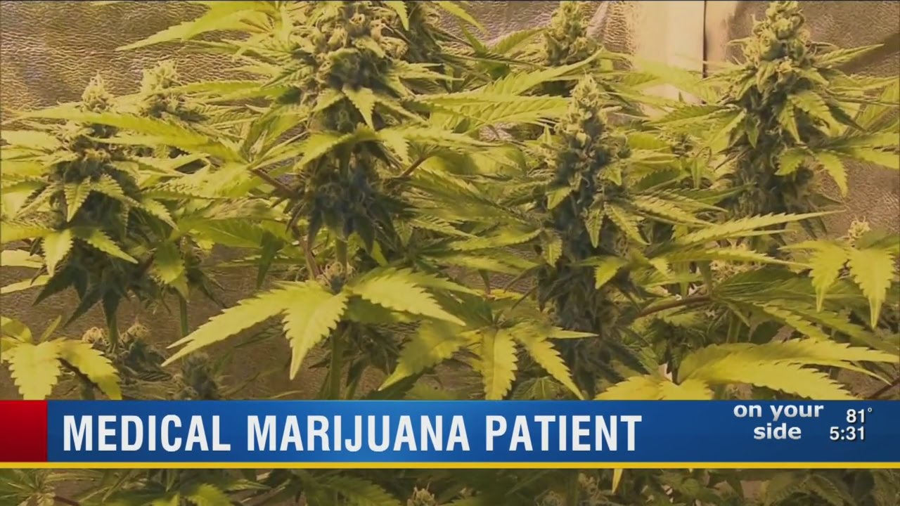 Tampa Bay area man receives cannabis spray