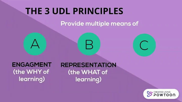 EDU 210 - The UDL Principles (By Faye Newton-Mason