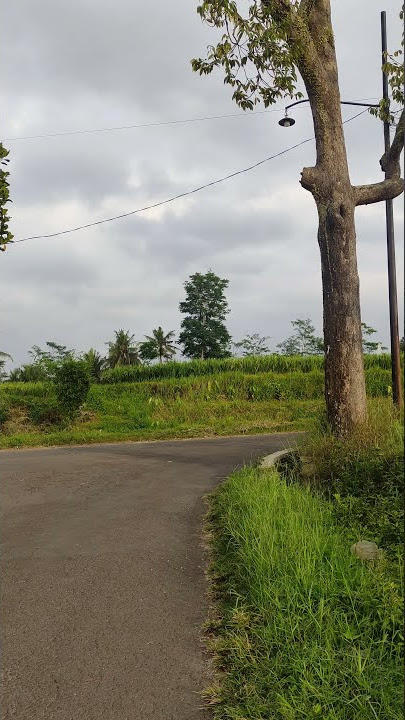 Suasana pagi hari di pertigaan Samboja Lawu, Kepanjen, Malang, Jawa Timur