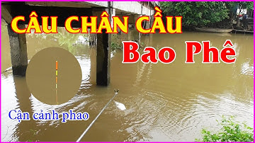 Câu Cá Sông | Câu Cá Chân Cầu Giật Đã Tay