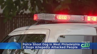 Officer Shoots Dog In West Philadelphia, Police Say