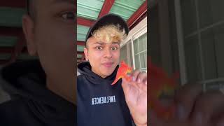 Growing Dinosaur in My Swimming Pool! 🦖 #growtoy #project #shorts