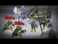 THEY THOUGHT GODWARS WAS SAFE (IT WASN'T) [DEADMAN ALLSTARS]
