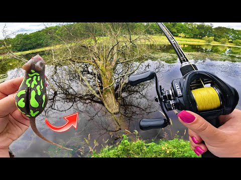 This pond is overflowing and we're catching the big fish right at our feet with this mouse!!!