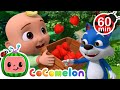 So Hungry for Yummy Fruit! | Animals for Kids | Funny Cartoons | Learn about Animals