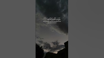 سورة الشعراء || الشيخ ياسر الدوسري حفظه الله #القرآن_الكريم