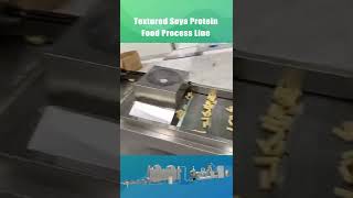 Textured Soya Protein production line