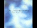 Thumbnail for The Golden Palominos - Prison of the Rhythm [Adam Peters Mix]