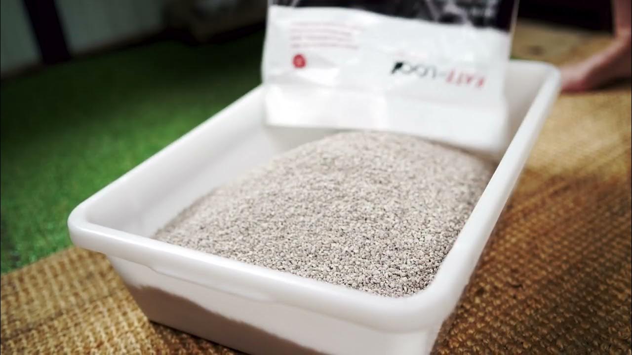 KatzLoo Australia’s Best Value Cat Litter YouTube