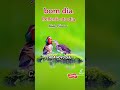 ,#Bom dia 😘# Reflexão do dia 🙏# domingo #24/05/26 😘