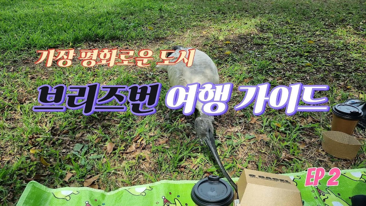 가장 평화로운 도시에서의 야경과 휴식 [브리즈번 여행 가이드 2편]