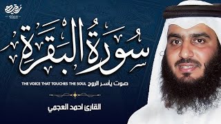 سورة البقرة كاملة بصوت أحمد العجمي رقية شرعية لتحصين البيت وطرد الشياطين تلاوة تهز القلب وتريح النفس