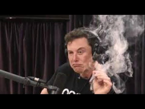 Elon Musk apparently smoked marijuana in live podcast appearance with Joe Rogan
