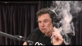 Elon Musk smokes live on web show!
