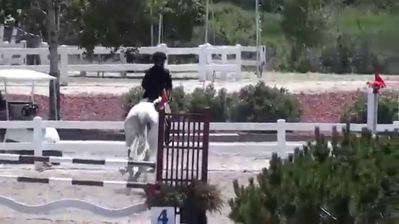 Haley Fleming & Starsailor-Summer In The Rockies II