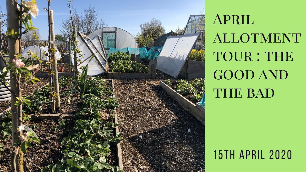 April allotment tour : the good and the bad!