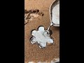 Make snowflake slices with silver liquid!