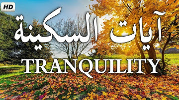 آيات السكينة لدفع القلق والهموم😌🎧 قران كريم بصوت جميل جدا جدا | AYAT OF TRANQUILITY - SAKINAH
