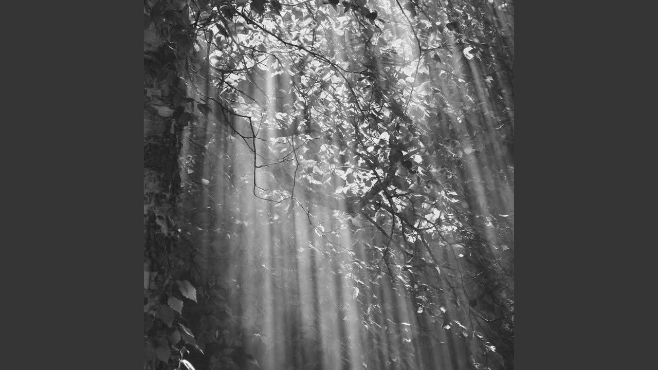 Extraordinary Ambiance for Saturday Morning