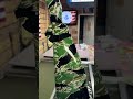 Vietnam tiger stripe camo hydro dipped onto gn stock pewpew hydrodipping painting