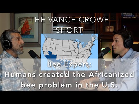 Africanized Bees aka "Killer Bees" are real and they can kill a horse | Vance Crowe Short