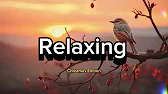 Post by Relaxing Music