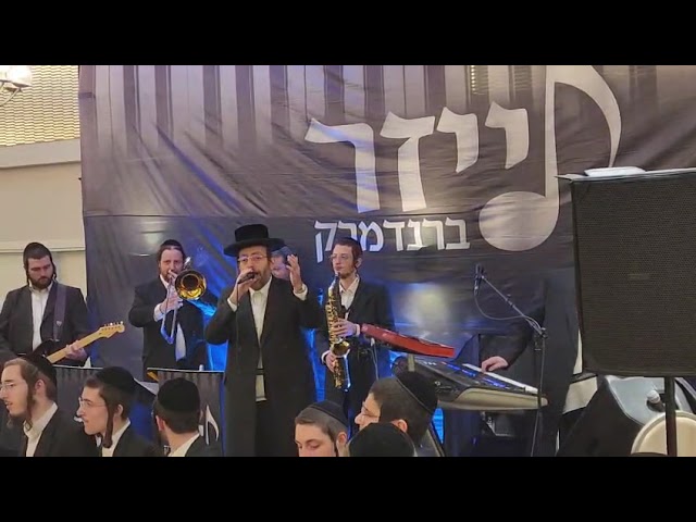 אהרלע סמט ולייזר ברנדמרק פריילך