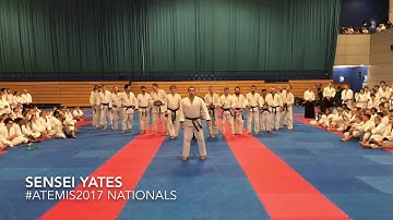 2017 Atemi Nationals Open Final - Sensei Yates