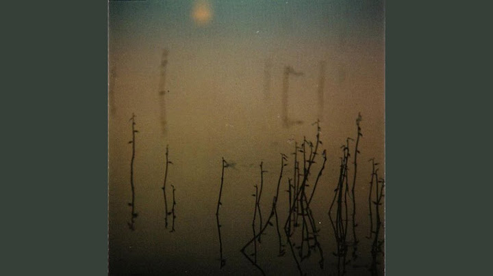 Hiljaiseksi Lampi Jää / The Pond Stays Still