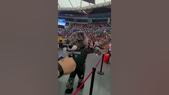 2024.5.26.T1 league Final G2中場 調啤豹&豹哥擊掌
