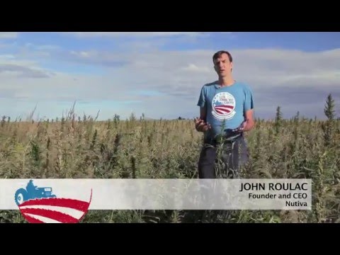 Its Time to Grow   The 5th Annual Hemp History Week - video from Hemptopia