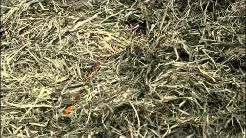 Lely Vector automatic feeding system– How It Works