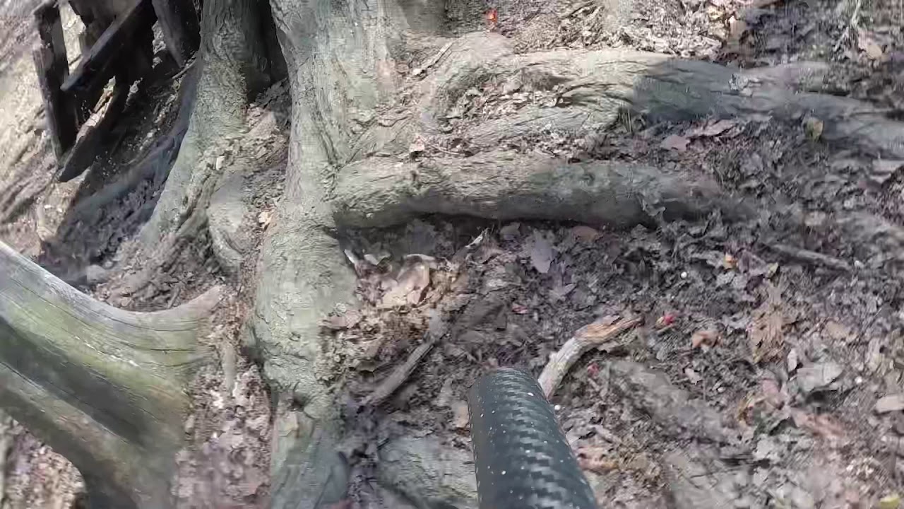 Paintball Sportsland Frederick MD March 30 2019 Part 1 YouTube