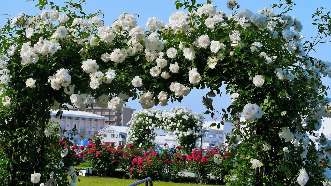 The most beautiful garden in the world 😍 - YouTube