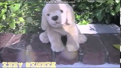 Wake Me Up- Webkinz MEP music video!