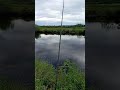 salmon fishing in Ireland. #fishing