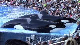 Orca Encounter (Full Show) - SeaWorld Orlando - February 26, 2023