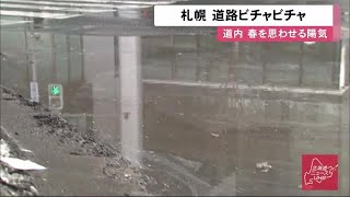 雪解けで道路はぐちゃぐちゃ 北海道ですでに10.3℃！ 春のような陽気で花も咲く？ (20/02/13 12:28)