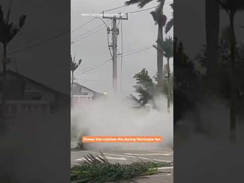 Video: Het weer en klimaat in Napels, Florida