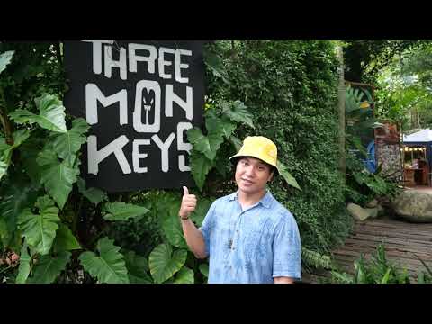 วันนี้เราจะพาไปร้าน cafe Three Monkeys Restaurant EP.1