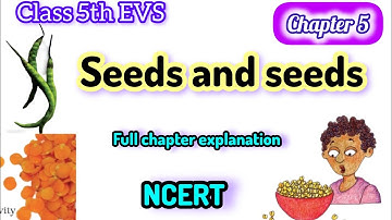 seeds and seeds|| chapter 5|| 5th EVS full chapter explanation & question answers by Rutba ma