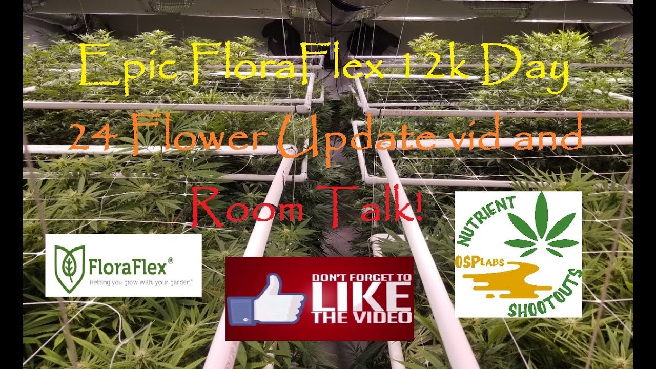 Epic FloraFlex 12K Day 24 Flower Update Vid And Room Talk