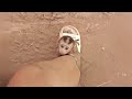 Terrified Baby Monkey Runs to Me: Fleeing Pickup Truck’s Chilling Secret 🐒🚚💨#animals  #rescue #pets